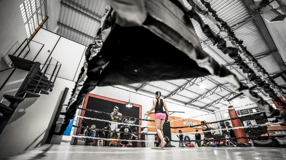 Boxing ring in a gym (stock photo)